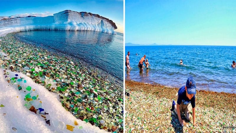 From Dumping Ground to Natural Wonder: The Remarkable Transformation of Ussuri Bay in the Soviet Union