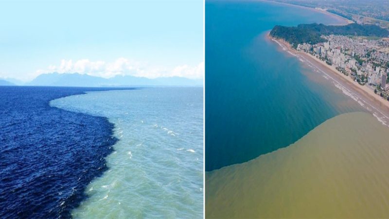 What causes the ocean to have two distinct bodies of water that cannot be mixed