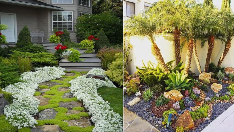 First Impressions Matter: Front Yard Landscaping Ideas to Enhance Your Home’s Design