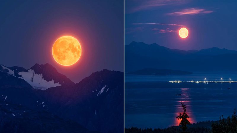 The Sturgeon Moon: A Celestial Marvel of Nature