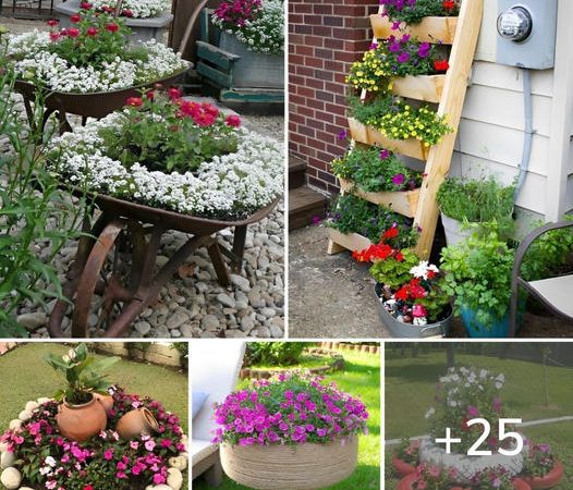 25 Inspiring Flower Garden Pictures