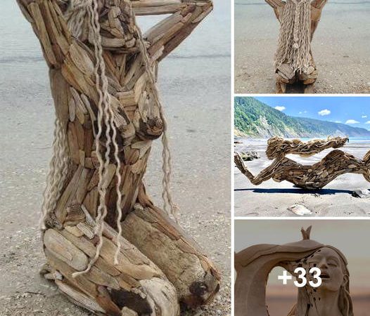 Enigmatic Elegance: Unveiling the Mysterious Allure of a Twisted Tree After a Stormy Night