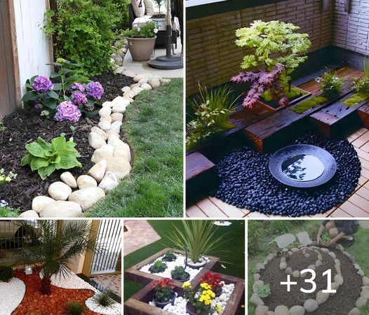 31 Modern Small Side Garden Ideas That Are Popular