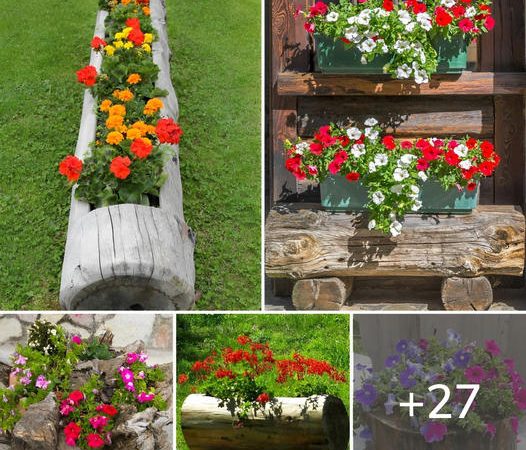 27 Incredible DIY Ideas for Turning a Tree Trunk into Stunning Garden Decor