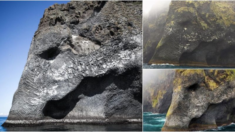 Amazing! Unique Elephant-Shaped Rock 🐘