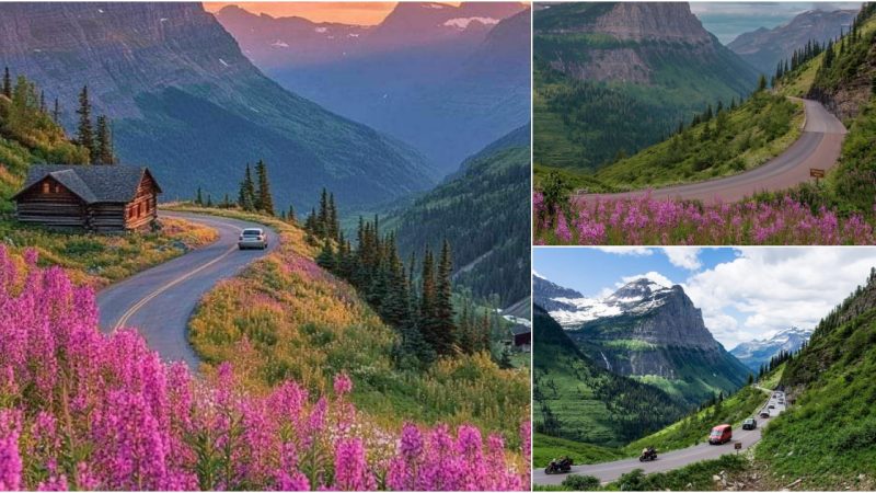 Driving the Stunning Going-to-the-Sun Road in Glacier National Park, Montana